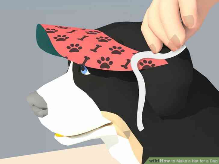 Image intitulée Faire un Chapeau pour un Chien Étape 23